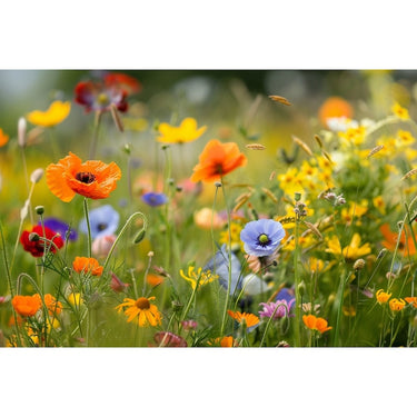 Wild Flowers Canvas